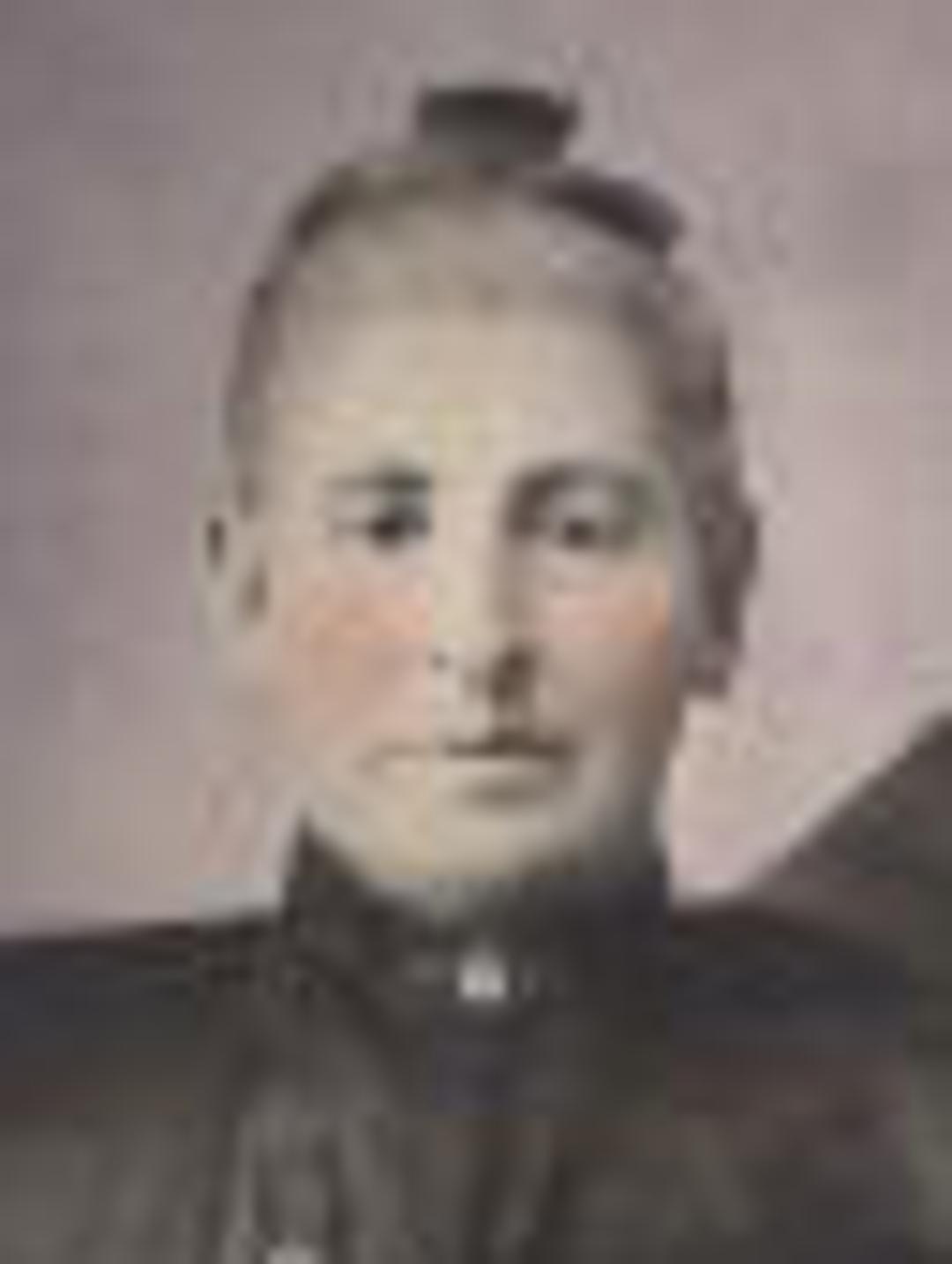 Eliza Miller (1850 - 1901) Profile